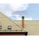Металлочерепица Ламонтерра RAL1014 Полиэстер-0.5
